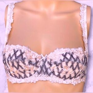 Lise Charmel Vintage Lace Floral Embroidery Demi Bra 34B